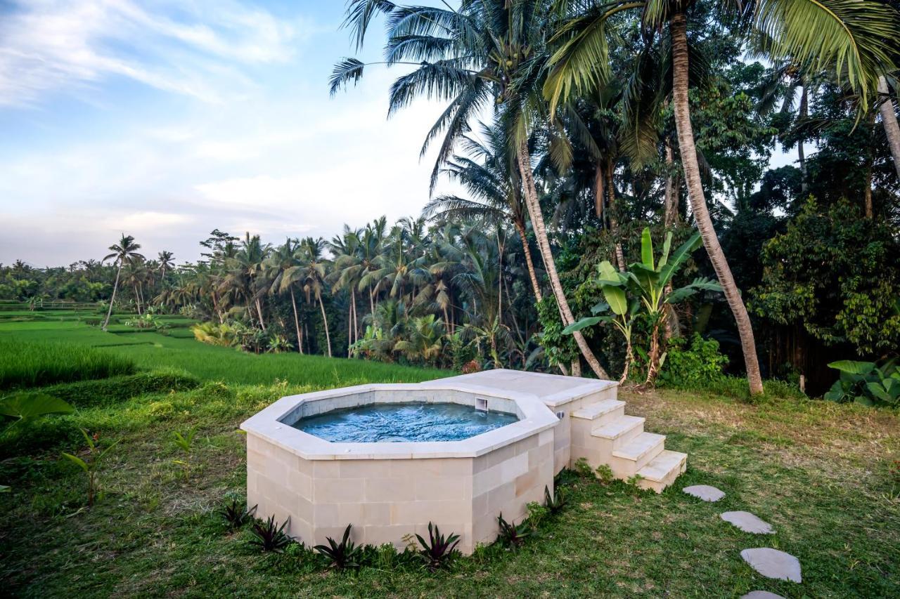 Villa Paradise By Balisuperhost Ubud Extérieur photo